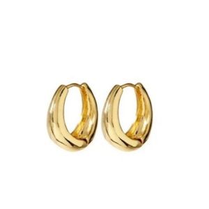 Gold Hoop Earrings